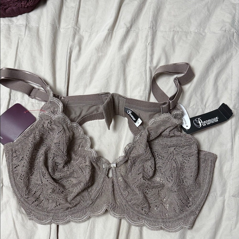 Felina Lace Bra in Taupe